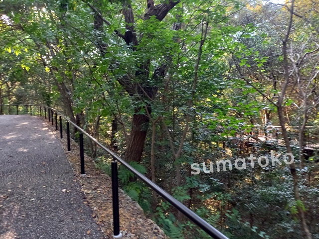 どんどこ森散歩道