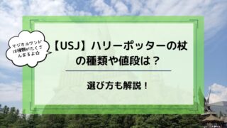 USJ hアリーポッター杖選び方 種類