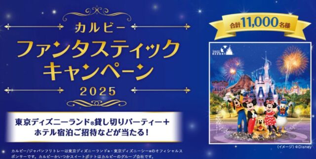 カルビー　貸し切りディズニー