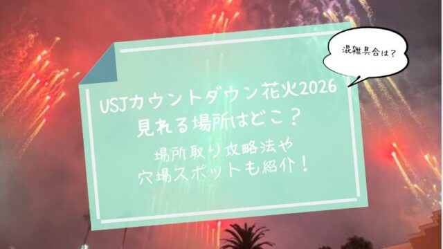 USJカウントダウン花火　場所